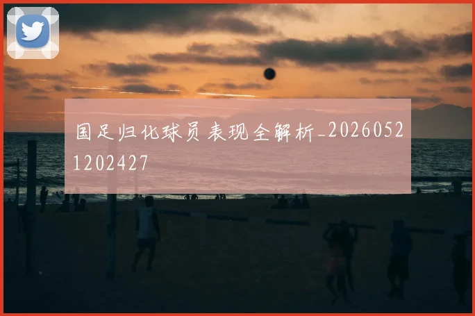 国足归化球员表现全解析_20260521202427