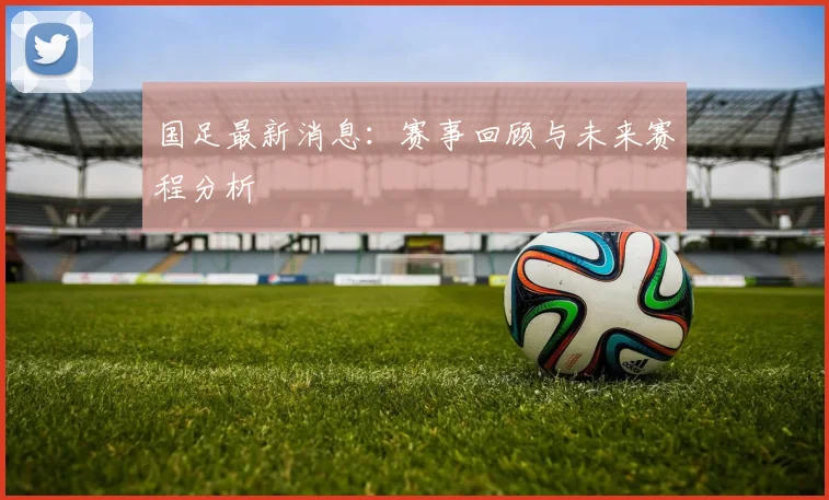 国足最新消息：赛事回顾与未来赛程分析