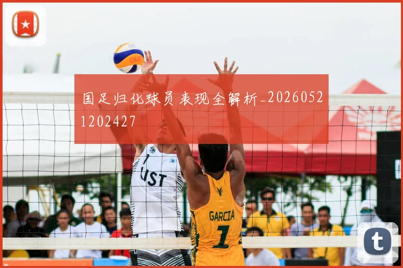 国足归化球员表现全解析_20260521202427