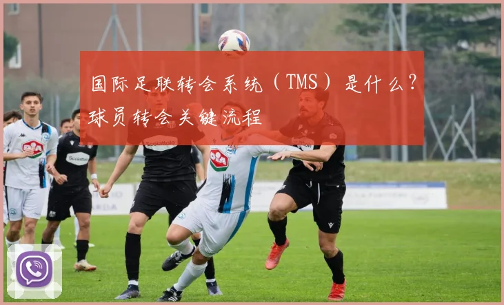 国际足联转会系统(TMS)是什么?球员转会关键流程